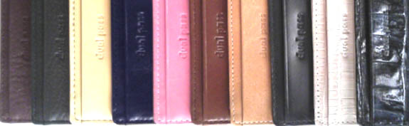 デュアル・パス