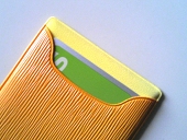 フラックス・パスケース