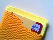 フラックス・パスケース